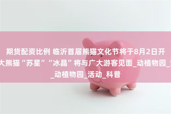 期货配资比例 临沂首届熊猫文化节将于8月2日开幕，届时大熊猫“苏星”“冰晶”将与广大游客见面_动植物园_活动_科普