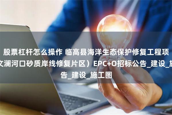 股票杠杆怎么操作 临高县海洋生态保护修复工程项目（文澜河口砂质岸线修复片区）EPC+O招标公告_建设_施工图