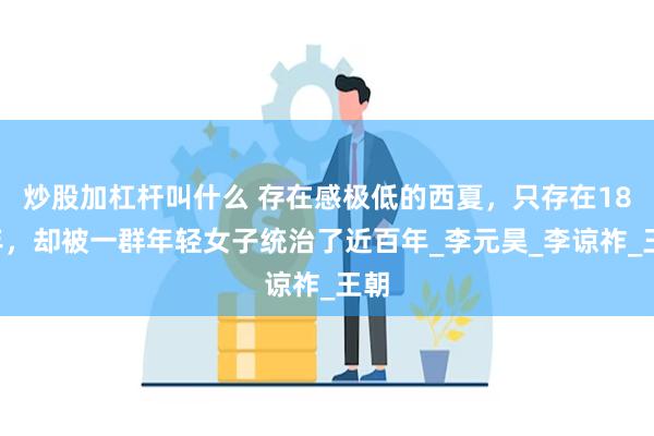 炒股加杠杆叫什么 存在感极低的西夏，只存在189年，却被一群年轻女子统治了近百年_李元昊_李谅祚_王朝
