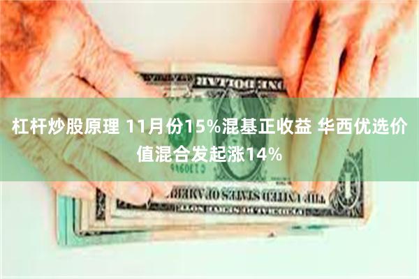 杠杆炒股原理 11月份15%混基正收益 华西优选价值混合发起涨14%