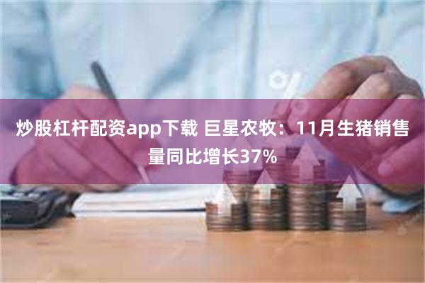 炒股杠杆配资app下载 巨星农牧：11月生猪销售量同比增长37%